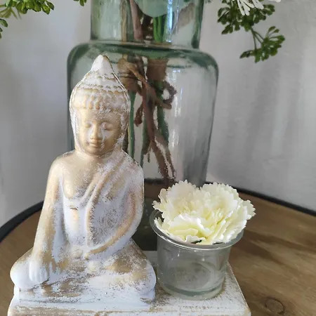 Buddha-can *